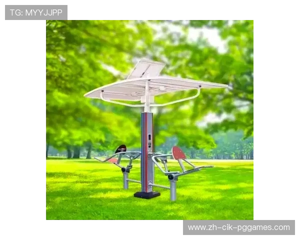 运动发电健身器材的技术原理与市场前景 运动发电健身器材的技术原理与市场前景