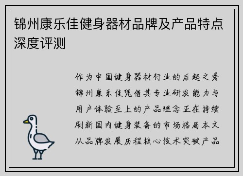 锦州康乐佳健身器材品牌及产品特点深度评测